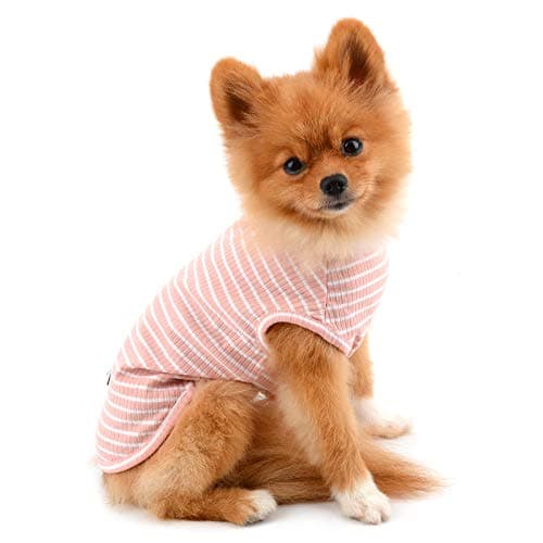 PAIDEFUL Vêtements pour Petits Chiens Garçon Fille été rayé Chiot t-Shirt Gilet Respirant Coton t-Shirt sans Manches Chihuahua Yorkshire Rose M