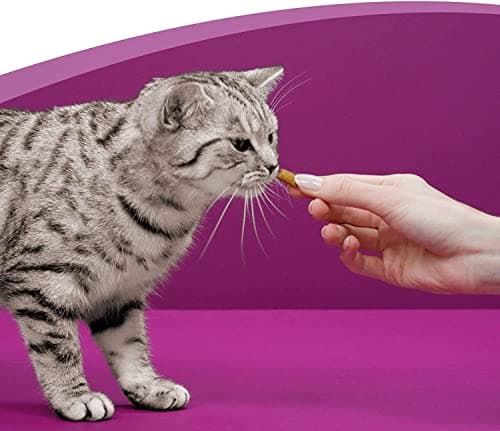 WHISKAS LES IRRESISTIBLES Friandises pour Chat Poulet & Fromage - 10 Boîtes de 105g Refermables pour une Meilleure Conservation, Sans Arômes Artificiels, Idéal pour Partager un Moment de Complicité