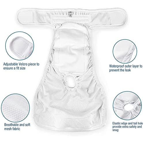 LeerKing Couche pour Chien Femelle Lavable Lot de 2 Réutilisables Culottes Hygiéniques Très Absorbantes Incontinence Périodes Physiologiques Léopard et Pois S