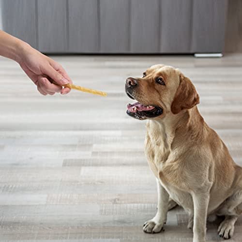 Nobleza - Friandises pour Chien, 120 Pièces bâtonnets à mâcher Chien, 125mm x 10mm, Stick Dentaire, Riche en protéines, pauvre en matières Grasses, 6 sachets de 20 Sticks