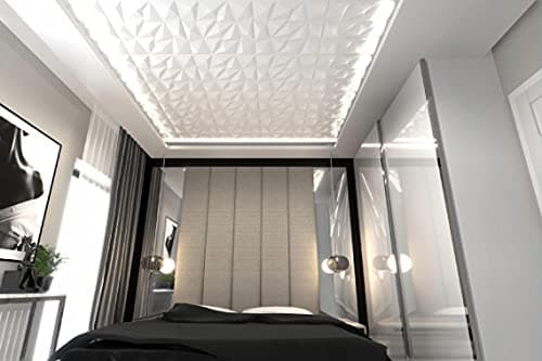 DECCART - Panneau Mural Decoratif 3D | Revetement mural | Panneaux Muraux | Polystyrène PSE | 50x50 cm Brylant 2 m2, 8 pièces, blanc