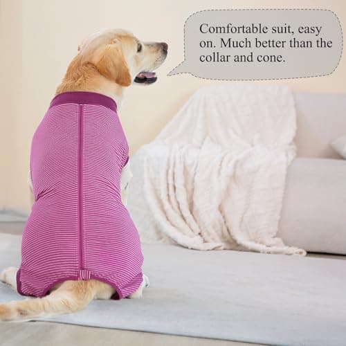 Cyponpy Combinaison Chien avec Fermeture éclair Body Chien Post Operatoire Femelle Male Body pour Chien Après Opération Body Stérilisation Chien Alternative au Collerette Chien Operation Castration