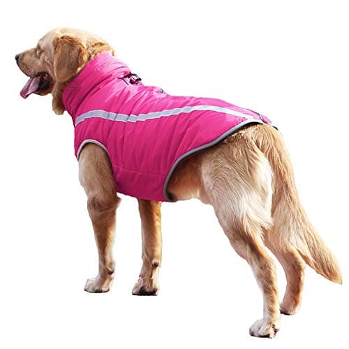 Idepet Manteau de Chien imperméable Veste Chaude d'hiver, vêtements pour Animaux de Compagnie Coupe-Vent Tenue de Veste de Chien pour Petits Chiens de Taille Moyenne avec Trou de Harnais XL-6XL