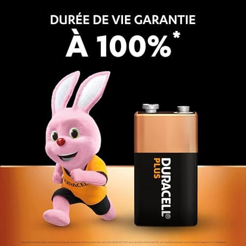 Duracell Plus Piles 9V (lot de 2) - Alcalines - Durée de vie garantie à 100% - Idéales pour les appareils du quotidien - Emballage 0% plastique - Conservation 5 ans - 6LR61 MN1604