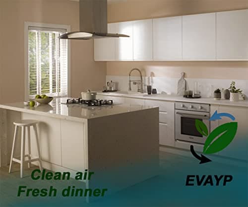 EVAYP/Filtre à charbon actif/Convient pour AIRFORCE - ARTHUR MARTIN - ELECTROLUX - WHIRLPOOL - AIRLUX - M-SYSTEM / AFFCAF16CS FC120 875956 KFMK-6 pour hottes de cuisine, hottes aspirantes