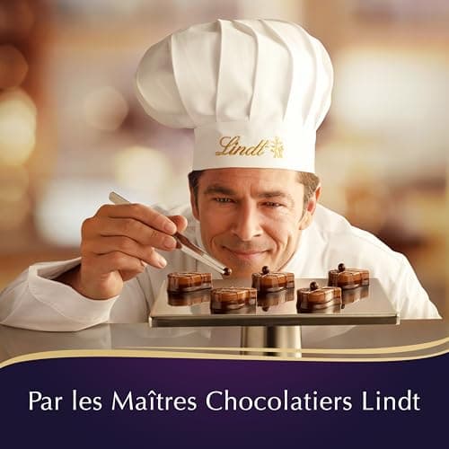 Lindt - Boîte CHAMPS-ÉLYSÉES Édition Avenue en Fête - Assortiment de Chocolats au Lait, Noirs et Blancs - Pralinés, Croustillants et Onctueux - Idéal pour Noël, 467g