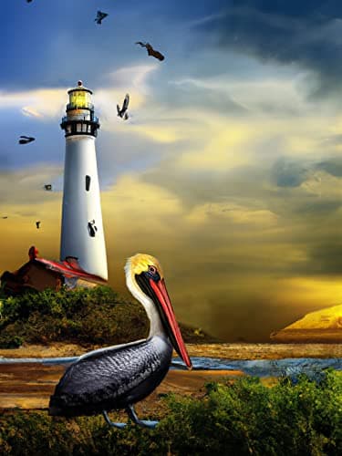 Ginfonr 5D Diamant Painting Diamond Painting Complet Phare Pélican, Broderie Peinture Diamant Painting Pigeon Animal Kit Complet Décoration De Pour La Décoration Murale De La Maison 30x40 cm