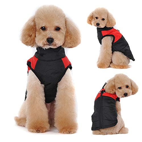 Idepet Manteau d'hiver pour Chien Vêtements Imperméables pour Petit Moyen Grand Chien Chat Taille S L L XL XXL 3XL 4XL 5XL (M, Rouge)