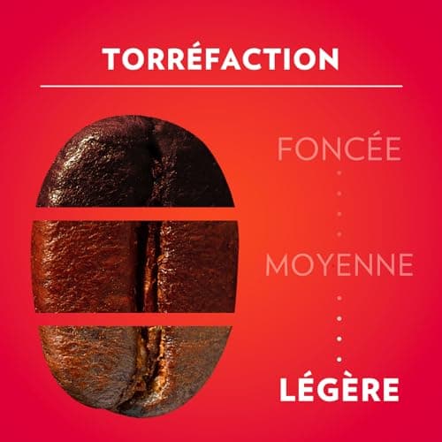 Lavazza - Il Mattino, Café Moulu, Idéal pour la Machine Filtre ou Manuelle, avec Notes Aromatiques de Fruits Secs, pour un Espresso au Goût Intense et Velouté, Robusta, Intensité 10/10, 4x250g