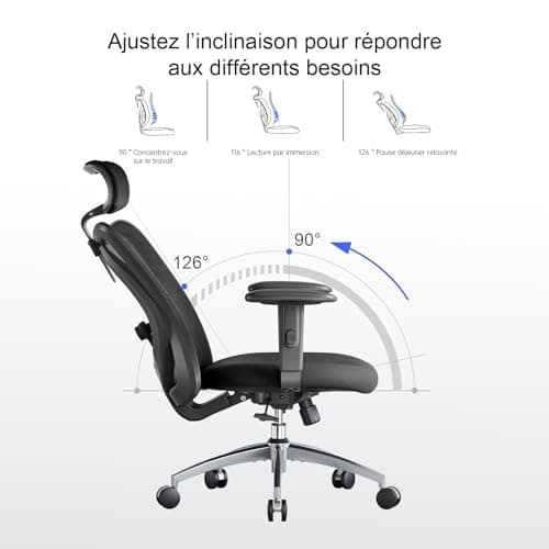 SIHOO Chaise de Bureau, Siege de Bureau Ergonomique avec Support Lombaire et accoudoir réglable, Fauteuil de Bureau d'une capacité maximale de 150 kg