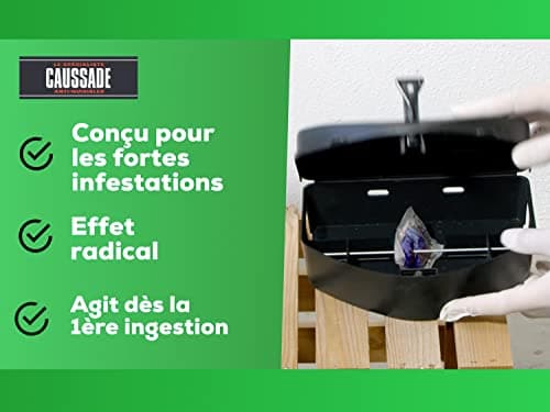CAUSSADE CARPT720 Raticide Canadien - Fortes Infestations - 72 pâtes - Lieux Secs - Lieux Humides - Hyper Appètent - Fabriqué en France