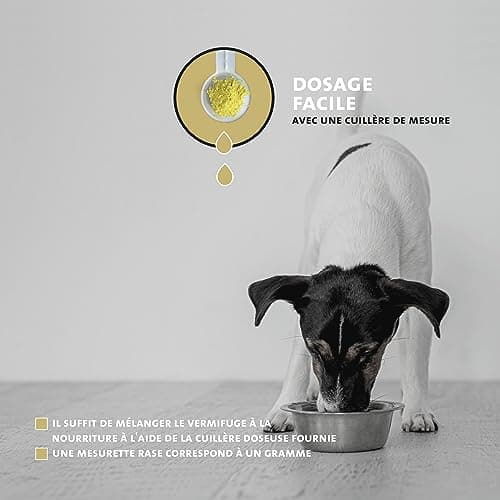 Peticare vermifuge poudre pour chiens | Cure contre les vers efficace à base de plantes | préventif & aigu | Remède comme complément alimentaire avec des ingrédients 100% naturels | petDog Health 2605