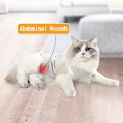 Dotoner Combinaison de Convalescence Professionnelle pour Chat - Chemise de Convalescence chirurgicale pour plaies Abdominales, Bandages, collerette vétérinaire (M, Gris)