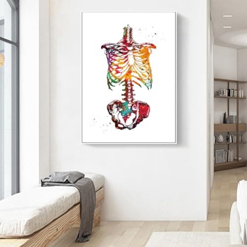 Lot de 3 posters d'anatomie - Motif cœur et cerveau - Poster d'anatomie humaine - Pour hôpital - Art mural - Sans cadre - B, 50 x 70 cm x 3