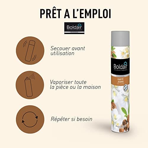 BOLDAIR - Aérosol parfumant Karité jasmin - Elimine les mauvaises odeurs - Parfume agréablement - Forte rémanence - Pulvérisation sèche - 750 ml - Fabrication française