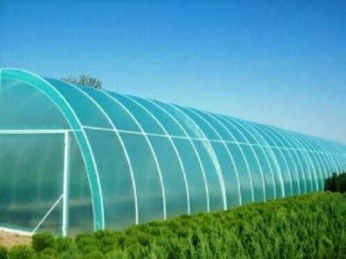 Provarm Film de serre de 6 à 8 m de large I Film de jardin très transparent et indéchirable pour couvertures en extérieur I Bâche de protection résistante aux intempéries et aux UV 4 ans