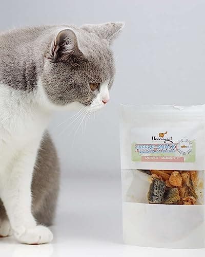 I Love My Cat Freeze-Snack pour Les Chats, des Filets de Saumon (lyophilisés) de 25 g, des friandises saines pour Les Chats, sans additifs artificiels