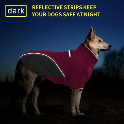 Oslueidy Manteaux d'hiver pour Chiens, Vestes Chauds pour Chiens, Gilet Chiot, Vêtements Coupe-Vent réfléchissants zippés pour Chiens de Petite, Moyenne et Grande Taille (Violet, S)