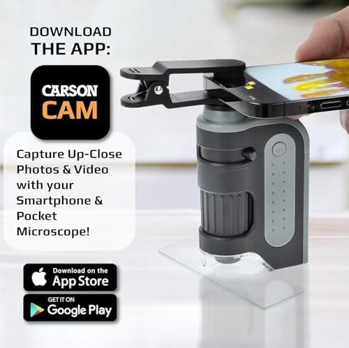 Carson MicroBrite Plus 60-120x microscope de poche éclairé par LED pour enfants, microscope portable, mini microscope pour étudiants en laboratoire scientifique, microscope éducatif pour STEM (MM-300)