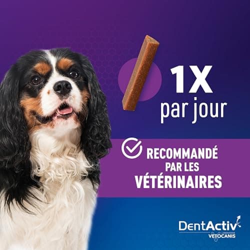 Vetocanis | Dentactiv | Stick Dentaire Chien | Friandises pour Chien Gourmandes | pour l'Hygiène et Santé du Chien | Riche en Viande | 85% de Boeuf | Recommandé par Les Vétérinaires | Chien 2 à 15 kg