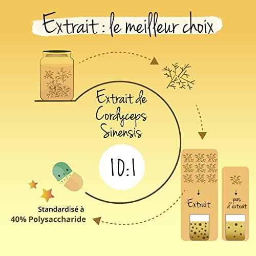 Cordyceps sinensis CS-4 | 6500 mg (10:1) | 4 MOIS | 40% Polysaccharides | SANS ADDITIFS | Adaptogène | 120 Gelules | VEGAN | Vegavero®