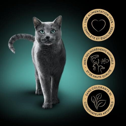Sheba Sauce Collection Barquettes Nourriture humide pour chat adulte Sélection Mixte 4 variétés 12x85g lot de 6