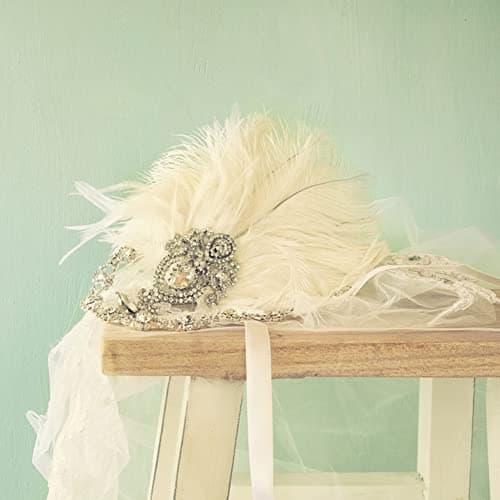 URFEDA Plumes Decoration, Lot de 10 Plumes d'autruche Naturelles Douces sans Odeur Piquante Plumes Naturelles Lot de 10 Plumes D'Autruche Naturelles pour décoration d’intérieur ou Mariage Violet