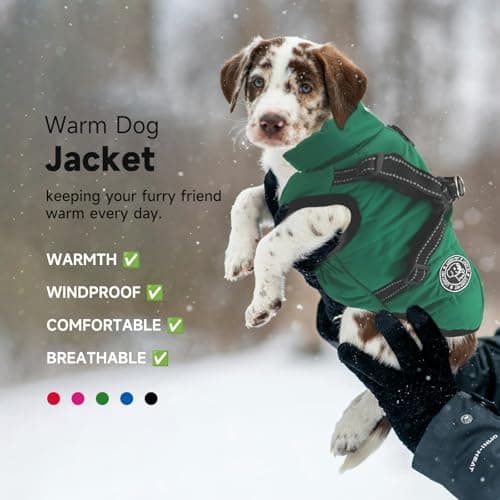 Manteau imperméable pour Chien avec Harnais, Manteau d'hiver Chaud pour Chien, Veste pour Chien, Gilet pour Chien pour Petits et Moyens Chiens
