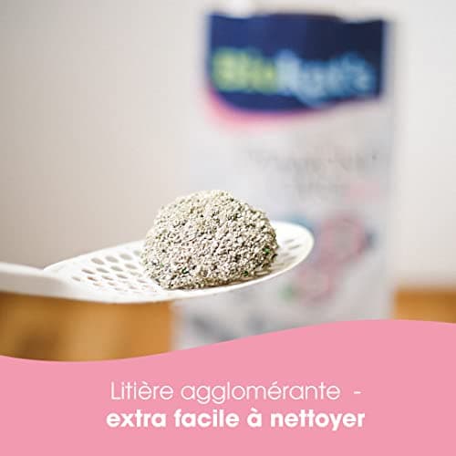 Biokat’s Diamond Care Fresh au parfum de talc - Litière fine pour chats au charbon actif et à l’Aloe vera - 1 sac (1 à 10 l)