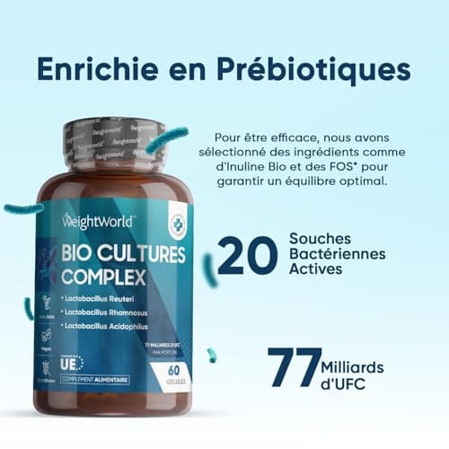 Probiotique Flore Intestinale 77 Milliards d'UFC Haute Dose - 20 Souches - 60 Gélules Vegan Probiotiques et Prébiotiques Lactobacillus Gasseri, Lactobacillus Rhamnosus, Bifidobacterium, Inuline, FOS.