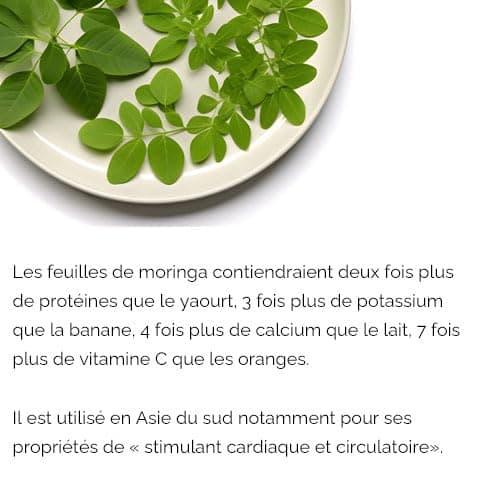 Herbes du Monde - Moringa BIO de qualité supérieur - Moringa oleifera Organic - Complément alimentaire en poudre Riche en Vitamine C - Nutrition Naturelle - 1 sachet de 100g Certifiée AB