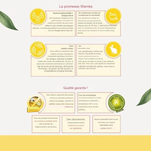 L-Théanine comprimés - 500mg - vegan - 100 comprimés - Acides aminés | Warnke Vitalstoffe - Qualité des pharmacies allemandes