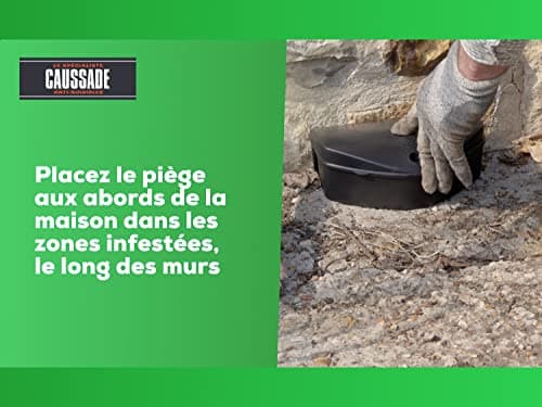 CAUSSADE CARPT720 Raticide Canadien - Fortes Infestations - 72 pâtes - Lieux Secs - Lieux Humides - Hyper Appètent - Fabriqué en France