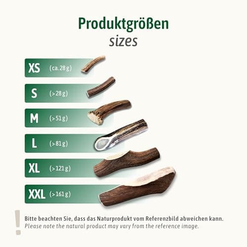 ChronoBalance® Bâtonnets L à mâcher en Bois de cerf pour Chiens: Jouet à mâcher Naturel, en Bois de cerf à 100%, favorisant l'hygiène Dentaire, Durable, sans Produits Chimiques.