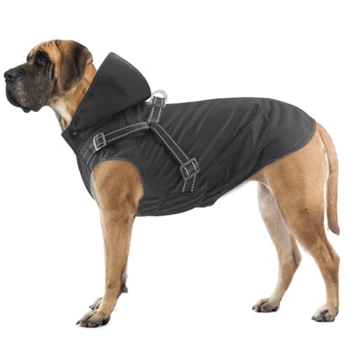 Mosucoirl Manteau de Pluie imperméable pour Chien à Capuche réfléchissant pour Chien Veste de Pluie réglable pour Chiens et Chiots de Petite Moyenne et Grande Taille(Noir, L)