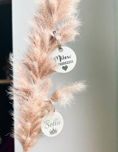 Médaille chien gravée personnalisée | nom, numéro de téléphone, écriture manuscrite, patte, cœur, les deux côtés | Étiquette de chien et chat en acier inoxydable de, pendentif nom, 23 mm