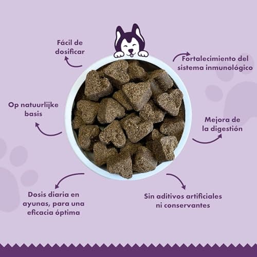 Woofies Probiotiques Friandises digestives pour Chiens - 90 pièces - Renforce la Flore intestinale et améliore Le système immunitaire - Ingrédients 100% naturels Prébiotiques (Poulet)