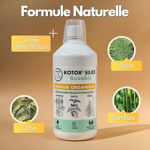 KOTOR SILICE BUVABLE 1L | Lot de 3 | Silicium Organique Francais & Naturel | Santé des Articulations, Cartilages, Os, Peau, Cheveux, Ongles | Silicium + Ortie + Prêle + Bambou | 3 mois