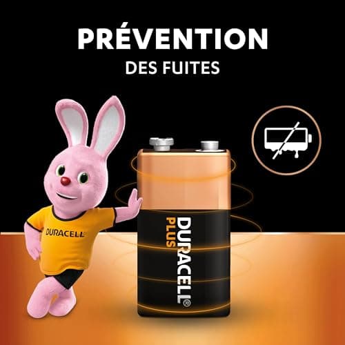 Duracell Plus Piles 9V (lot de 2) - Alcalines - Durée de vie garantie à 100% - Idéales pour les appareils du quotidien - Emballage 0% plastique - Conservation 5 ans - 6LR61 MN1604