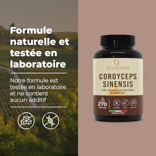 Bandini® Cordyceps Sinensis 6.500mg - 270 Gélules - Extrait de champignon vital CS-4 (10:1) - Énergie & Performance Sportive - 40% de Polysaccharides Bioactifs - Sans Additifs, Vegan - Pour 3 mois