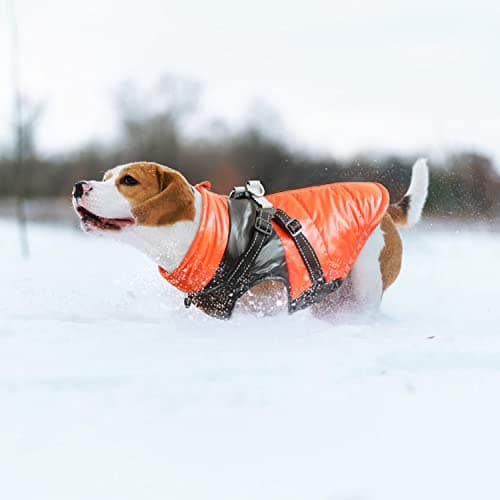 Oslueidy Manteau de Chien d'hiver, vêtements pour Animaux de Compagnie imperméables Veste de Chien Chaude Veste de Chien imperméable Sweat à Capuchon pour Animaux de Compagnie