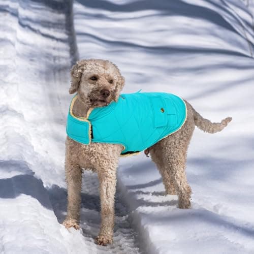 CITÉTOILE Manteau de Chien Coupe - Vent, Manteau Chien Fourré Polaire Epaiss, Manteau Veste d’Hiver Chien Chaud, Vêtement pour Chiens avec Trou de Corde de Traction, Bleu Clair, XS