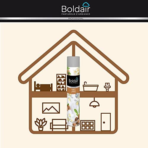 BOLDAIR - Aérosol parfumant Karité jasmin - Elimine les mauvaises odeurs - Parfume agréablement - Forte rémanence - Pulvérisation sèche - 750 ml - Fabrication française