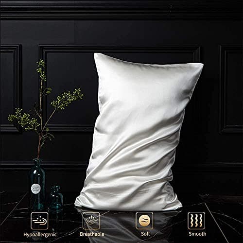 Taie d'oreiller en Soie pour Oreiller 100% Soie 22 Mommes Certifiée Oeko-TEX® Bienfaits Cheveux et Peau Anti Âge, Anti Acarien(65x65cm, White)