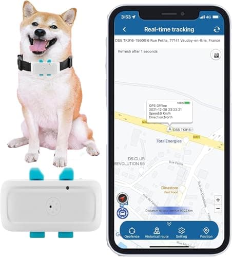 Collier GPS pour Chien sans Abonnement,Traceur GPS Chien avec Clôture de Sécurité Suivi en Temps réel de Compagnie étanche Alarme Sonore et Lumineuse TK911Pro