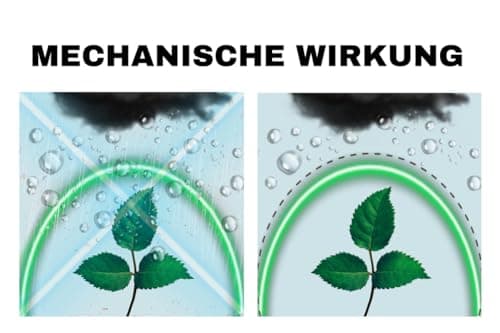 Provarm Film de serre de 6 à 8 m de large I Film de jardin très transparent et indéchirable pour couvertures en extérieur I Bâche de protection résistante aux intempéries et aux UV 4 ans