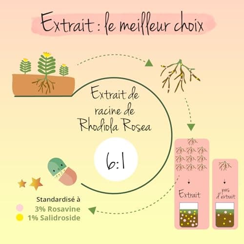 Rhodiola Rosea Vegavero® | 1200 mg (Extrait 6:1) | 120 gélules (4 MOIS) | Anti Stress + Fatigue + Mémoire | RHODIOLIFE® | 3% Rosavine + 1% Salidroside | SANS ADDITIFS et VEGAN