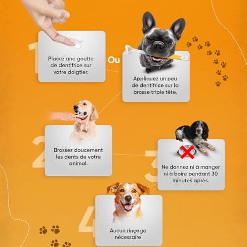 Brosse a Dents Chien 3 Têtes,1 Doigtier, Kit Dentaire Dentifrice Chien 2 x 100g - Dentifrice Haleine Fraîche, Gout Menthe - Élimine Plaque Tartre & Mauvaise Haleine - Soins des Dents pour Chiens