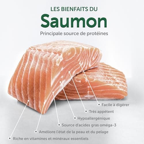 Nature's Protection Superior Care Croquettes Complètes pour Chien Junior (de 3 à 12 Mois) Toutes Races à Poil Blanc (Maltese, Bichon Frise etc.) I sans Céréales I Saumon, 1.5 kg