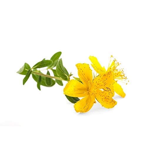 MILLEPERTUIS * 230 mg / 60 gélules * Extrait Titré en Hypéricine * Cerveau, Digestion (troubles gastro-intestinaux), Équilibre émotionnel * Fabriqué en France